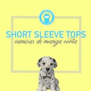 👚 SHORT SLEEVE TOPS 👕